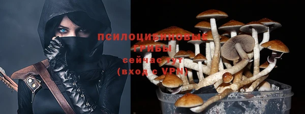 сатива Покачи