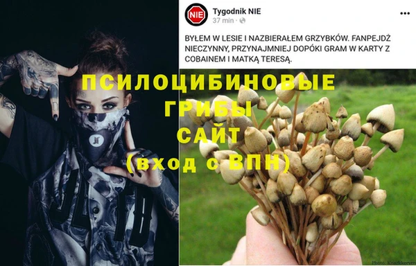 не бодяженный Верея