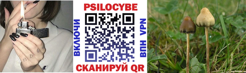 как найти   Любань  Псилоцибиновые грибы ЛСД 