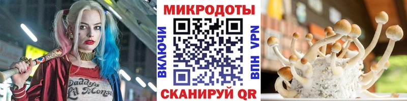 Псилоцибиновые грибы мицелий Любань